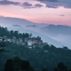 Forests in northeastern India have continuously decreased over the years.